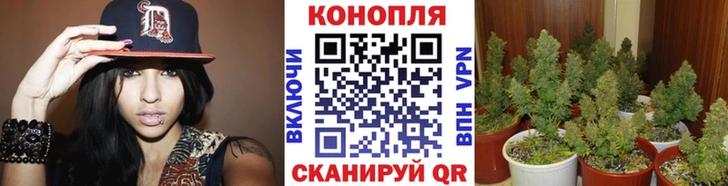 Наркотические вещества Узловая КОКАИН  Alpha PVP  ГАШ  МЕФ 