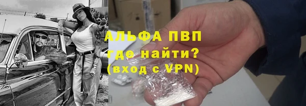 сатива Аркадак