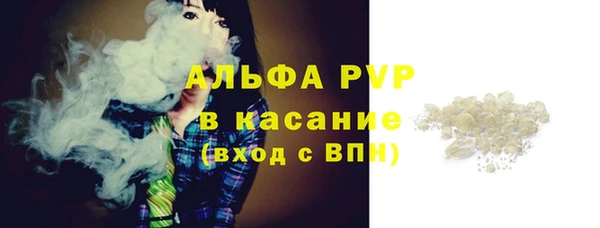 сатива Аркадак