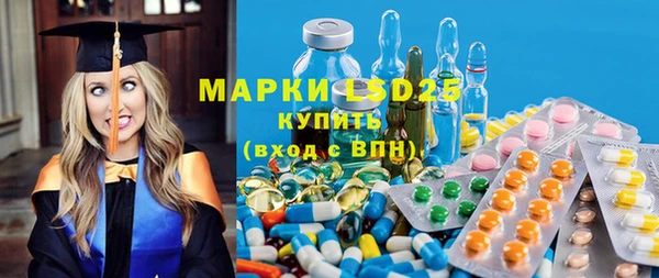сатива Аркадак