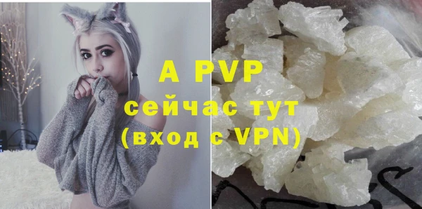 сатива Аркадак