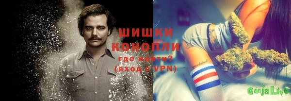 сатива Аркадак